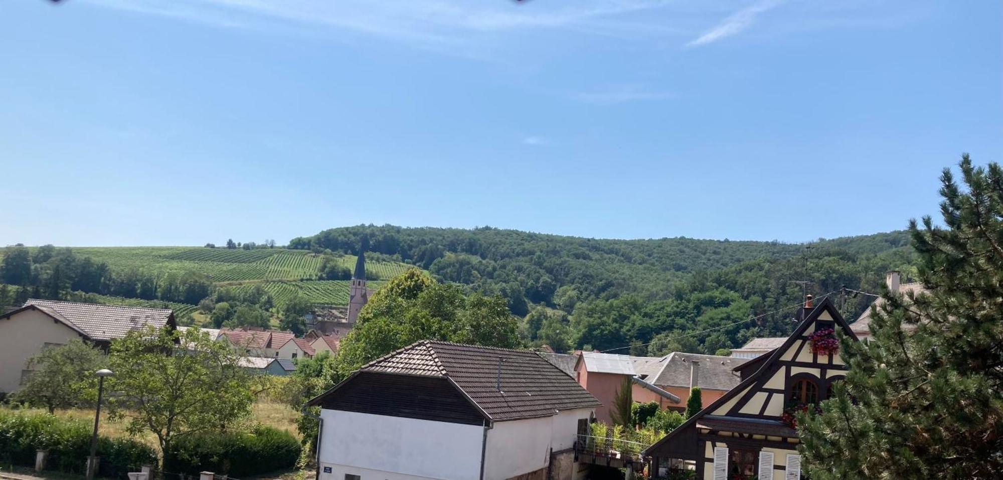 Отель La Bonneterie Andlau-au-Val Экстерьер фото