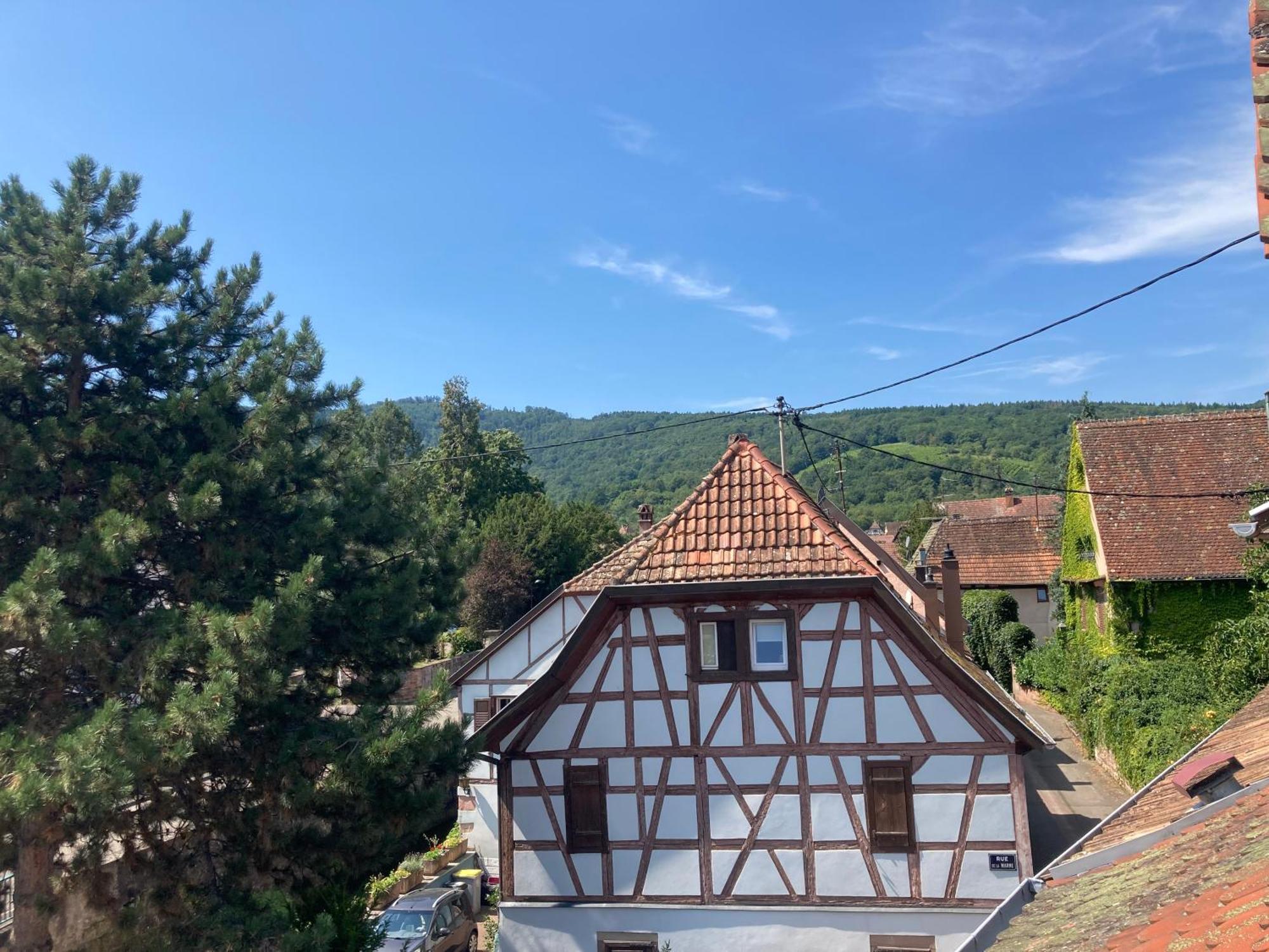 Отель La Bonneterie Andlau-au-Val Экстерьер фото